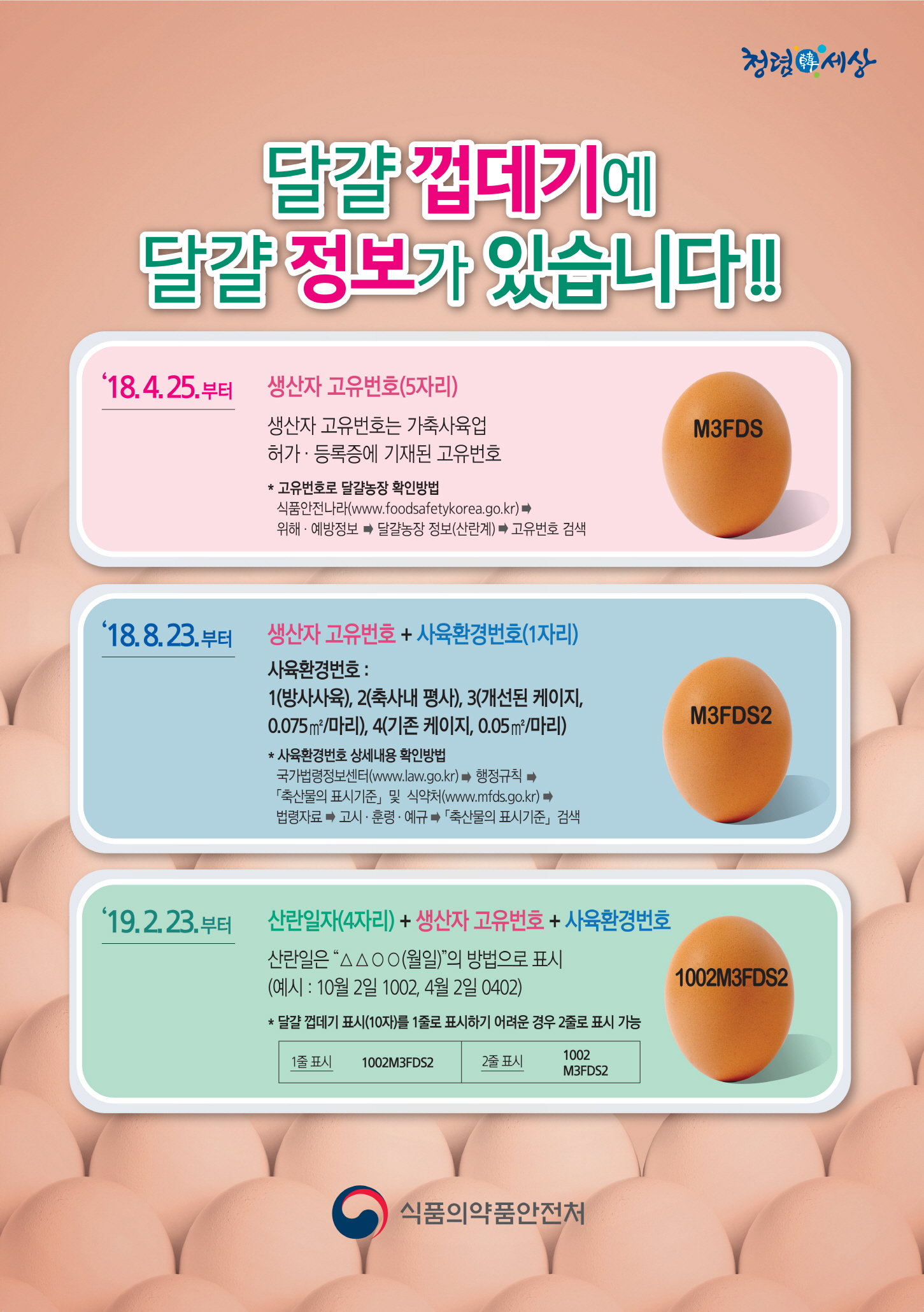 달걀 정보는 달걀 껍데기에서 찾자! < 사회 < 기사본문 - 서귀포신문