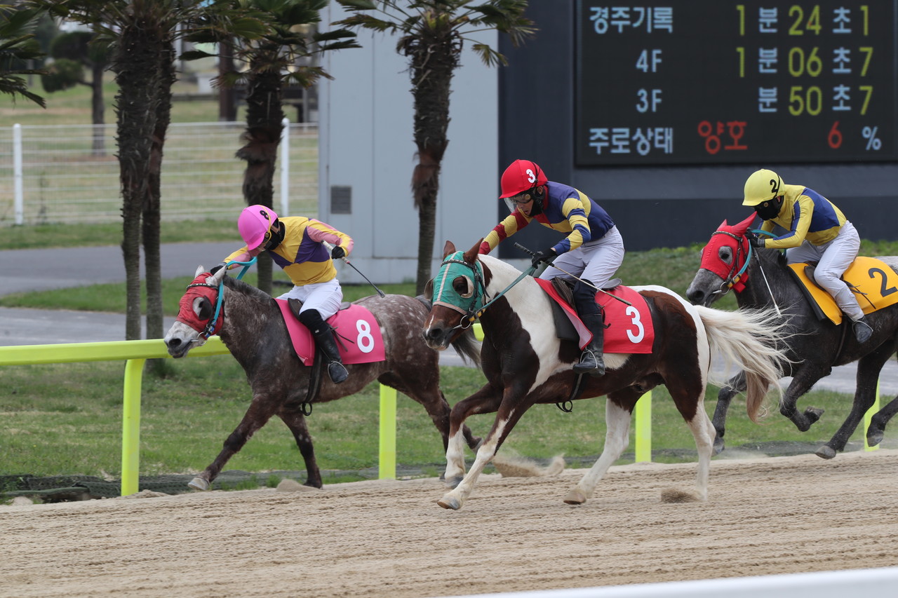 경기중 (한국마사회 제주지역본부 제공)