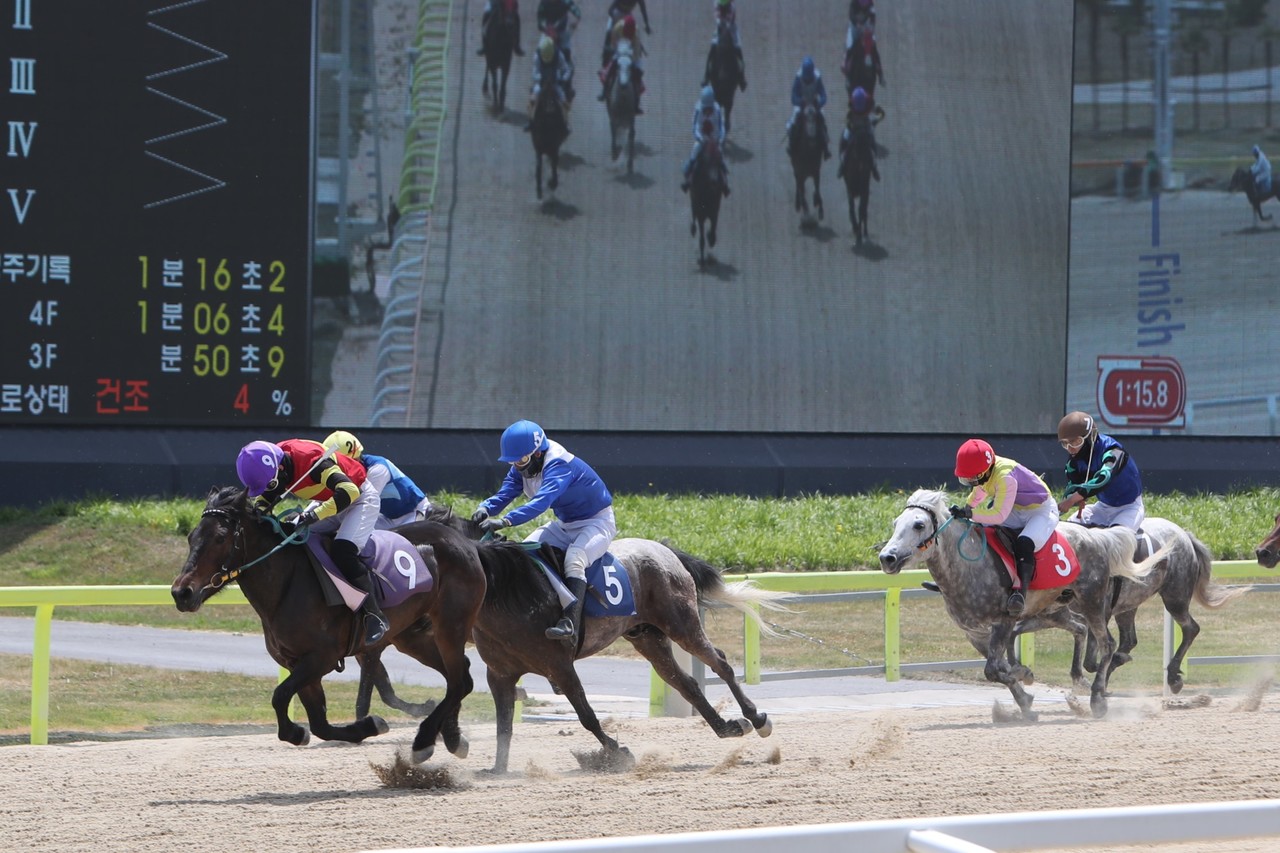 경기장면 (사진=