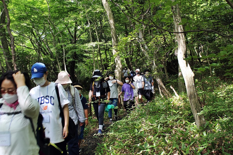 참가자들이 숲길을 걷는 장면(사진=장태욱 기자)