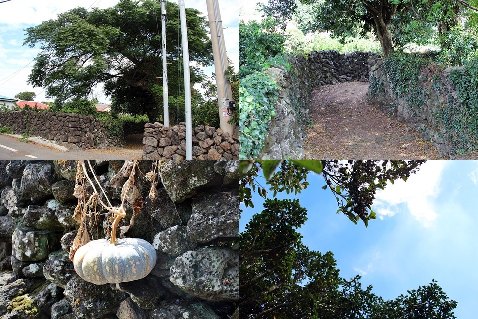 진입로(사진=장태욱 기자)