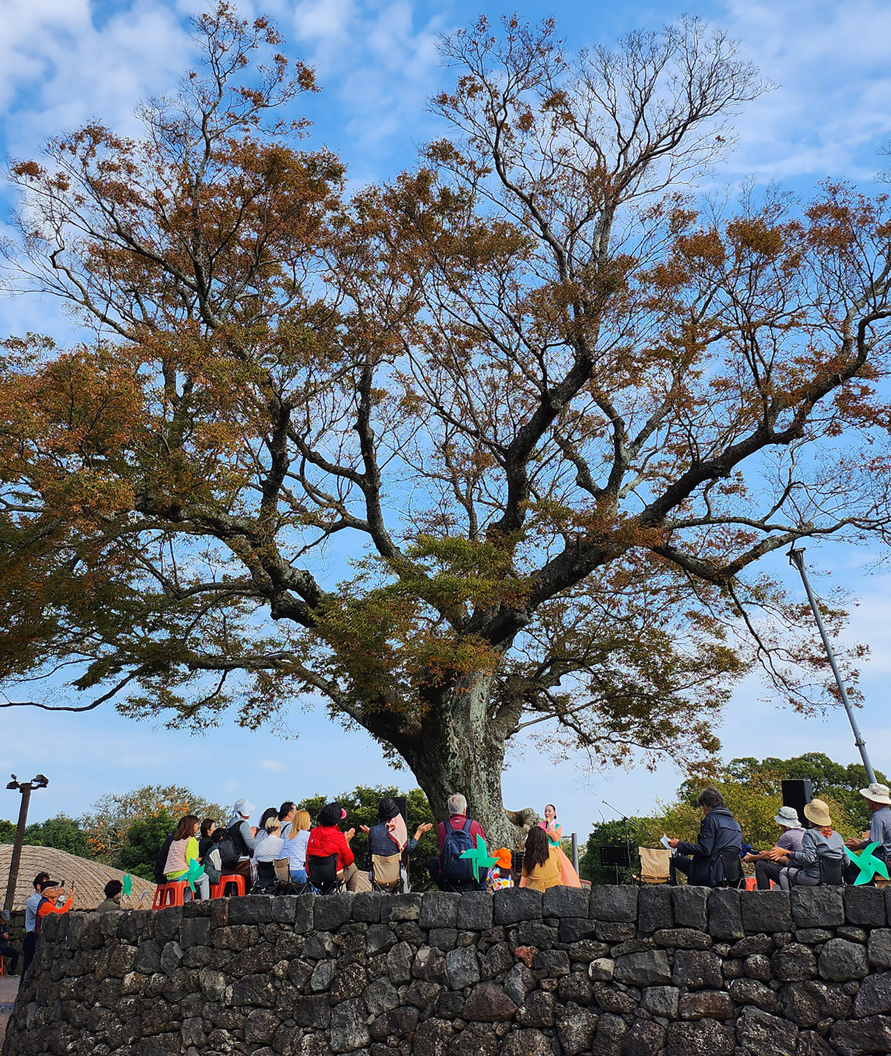 느티나무  공연장에서 판소리 공연이 펼쳐지고 있다.(사진=강문혁 기자)