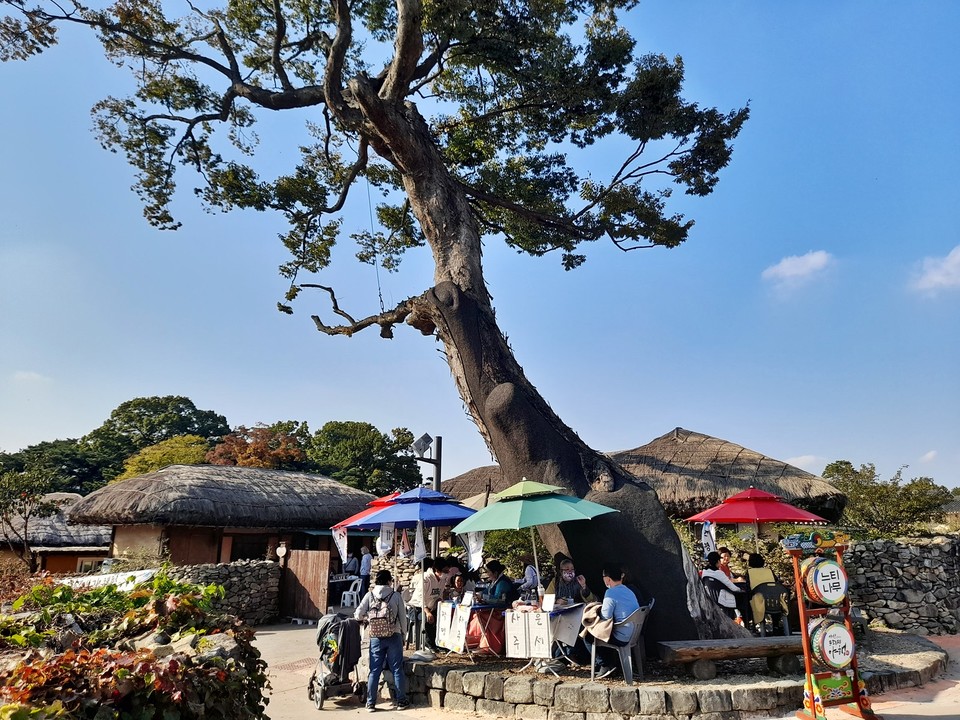 외암마을 느티나무 노거수 아래 점쟁이들이 모여 영업하는 장면.(사진=장태욱 기자)