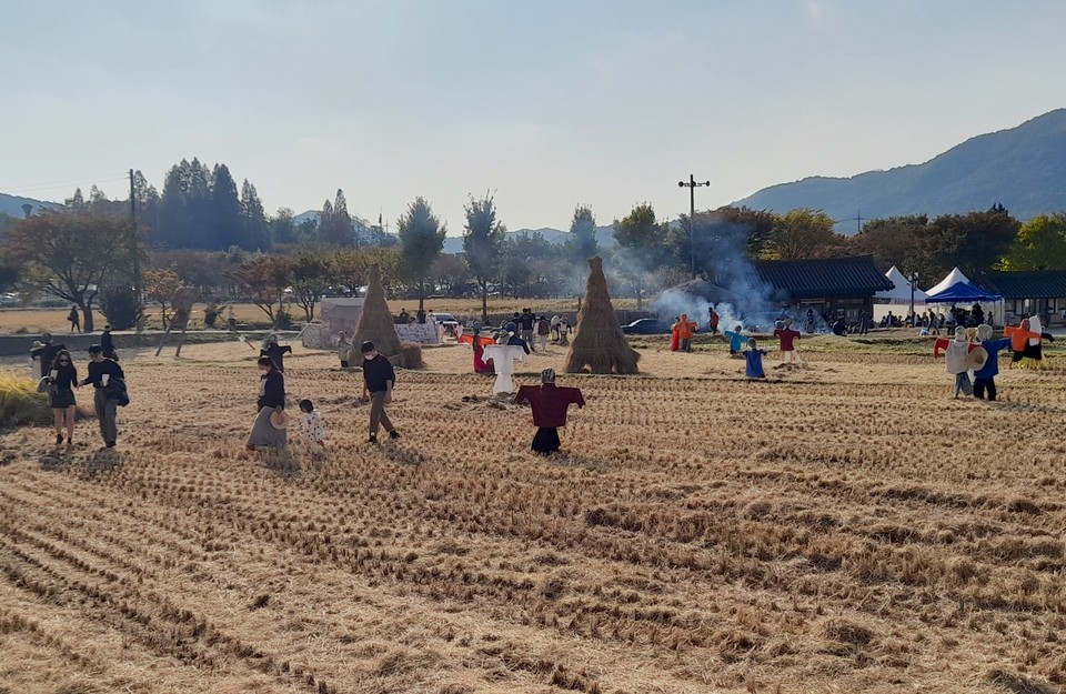 21일부터 23일까지 외암마을에서 짚풀문화제가 열렸다. 추수가 끝난 논에서 아이들이 노는 장면이다.(사진=장태욱 기자)