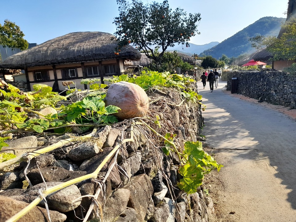 외암마을은 돌담이 정겨운 마을이다.(사진=장태욱 기자)