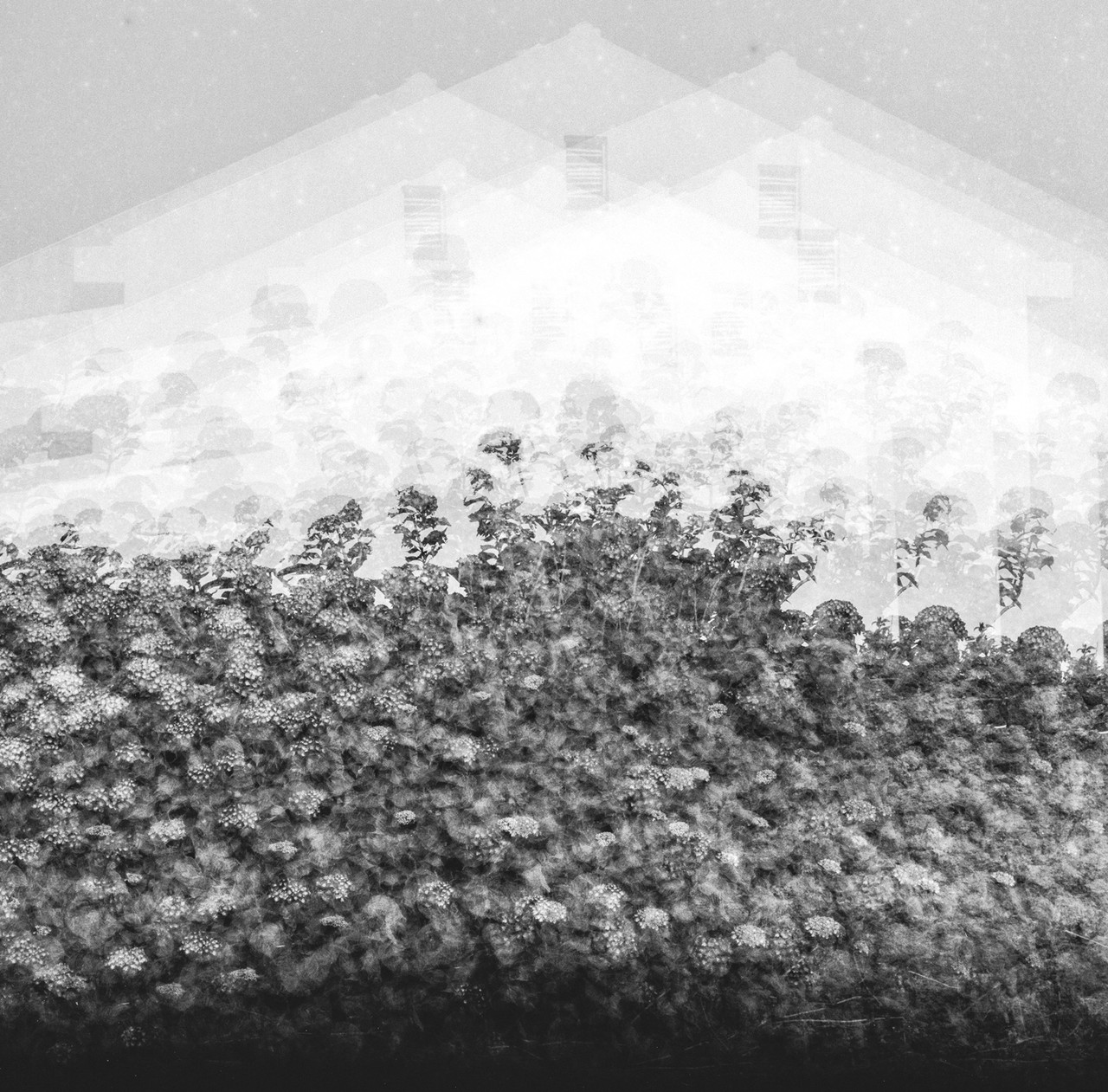 서정희 작, '혼돈' (사진=사진공감 제공)