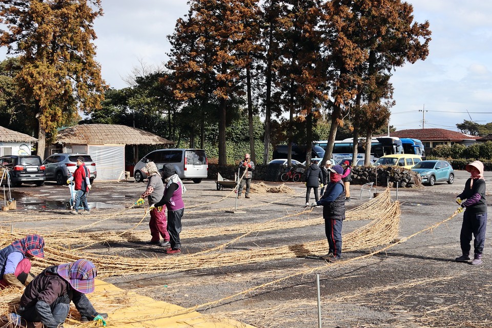 26일 성읍민속마을에서 사람들이 집줄을 만드는 장면(사진=장태욱 기자)