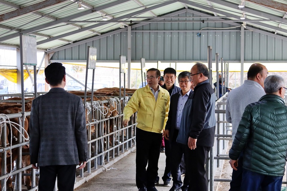 김용관 조합장이 경매현장을 방문한 오임수 서귀포시 부시장을 안내하는 장면이다.(사진=장태욱 기자)