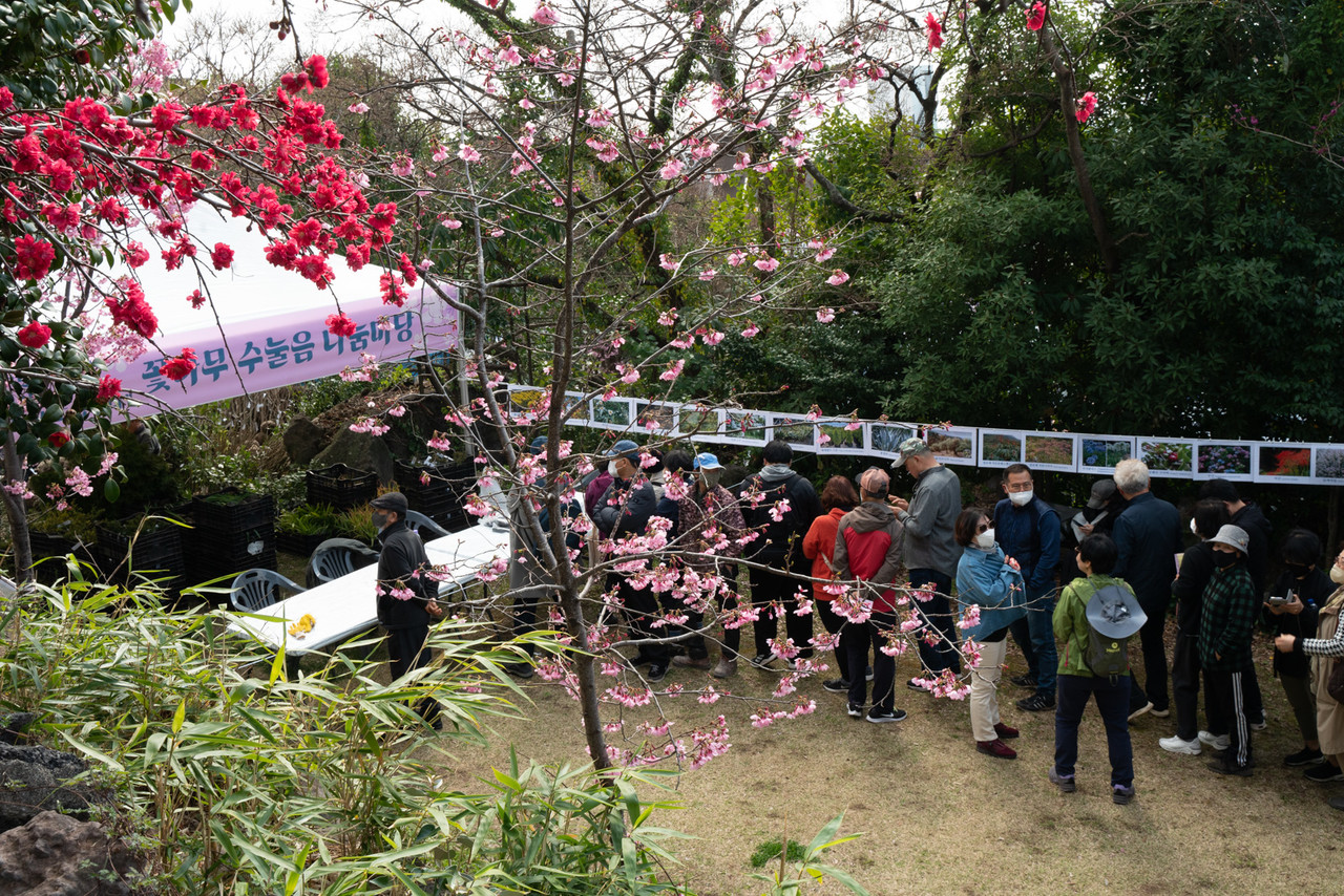 나무 나눔 행사자에 참가자들이 나무를 얻기위해 기댜리고 있다..