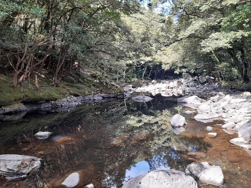 효돈천은 생태학적 가치로 인해 천연기념물, 천연보호구역, 유네스코 생물권보전지역 등으로 지정됐다.(사진=장태욱 기자)
