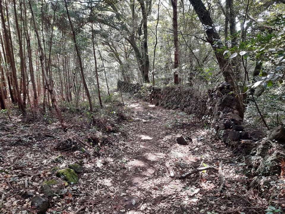 고살리숲길은 하례2리 생태관광의 핵심 상품이다.(사진=장태욱 기자)