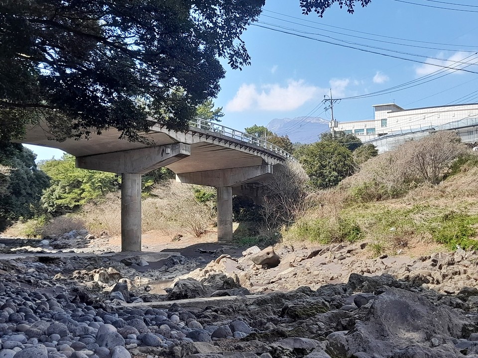 서귀포농업기술센터 남쪽에서 제2효례교가 효돈천을 가로지른다. 마을회는 제2효례교에 벽화를 그려 하천의 매력을 더하겠다는 계획을 세웠다.(사진=장태욱 기자)