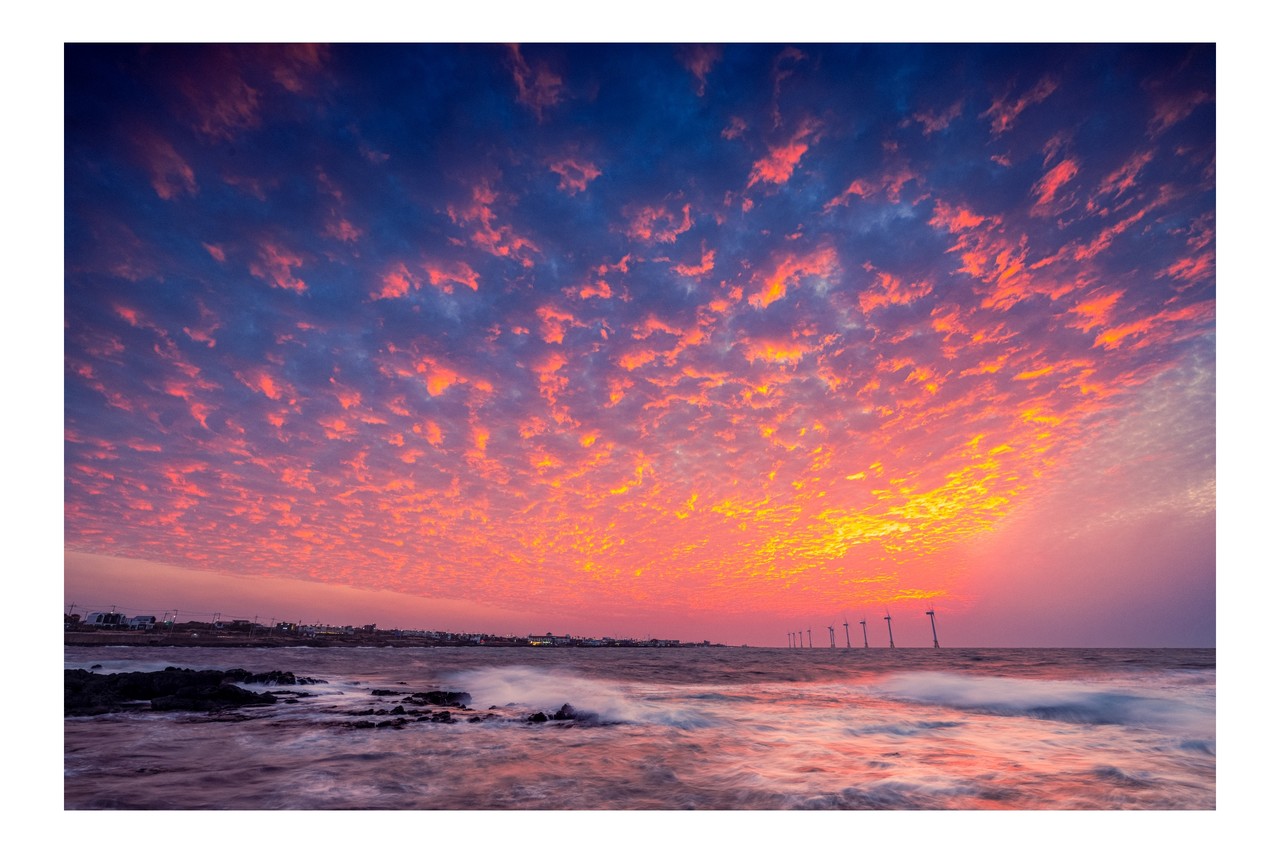 양윤수 작 평온한 일상