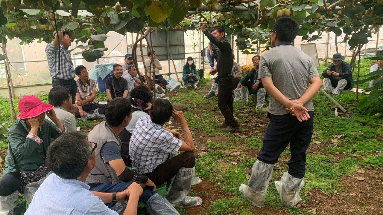 고권진 마이스터가 키위재배기술에 대한 현장수업 진행중