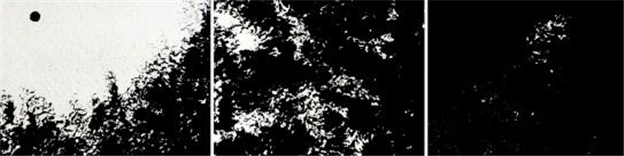 검은 숲, 닥종이에 먹, 각각 50x55cm (사진=국립제주박물관)