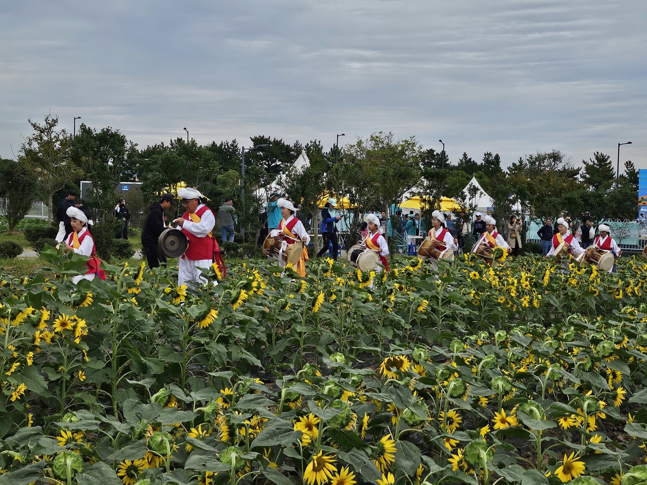 풍악대의 길트기 공연