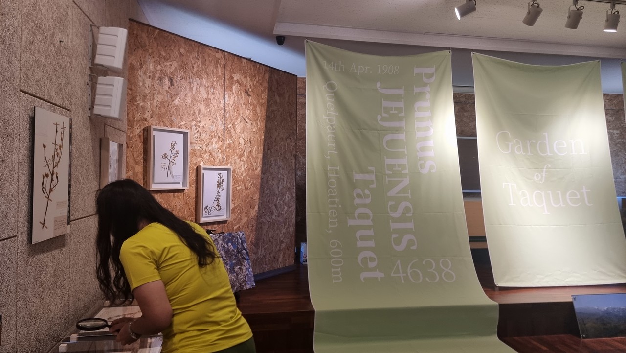 에밀 타케 신부가 채집한 식물표본이 전시돼 있다.