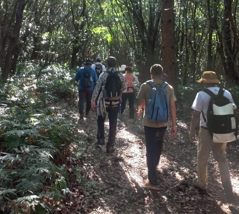제주올레길은 위로와 치유의 시간을 제공하는 길로 평가받고 있으며, 올해 주제는 '걷, 길 바람'이다. 