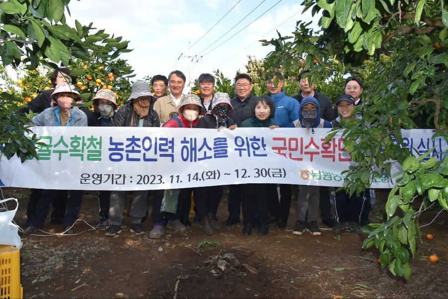 남원농협은 감귤수확철 농촌인력 해소를 위한 국민수확단 영농지원을 실시했다. (사진=제주농협)