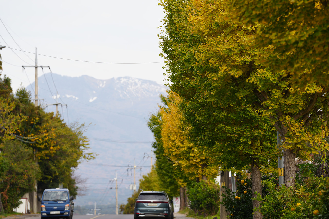 사진=오성희 기자