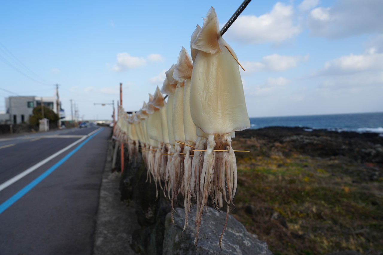 (사진=오성희 기자)