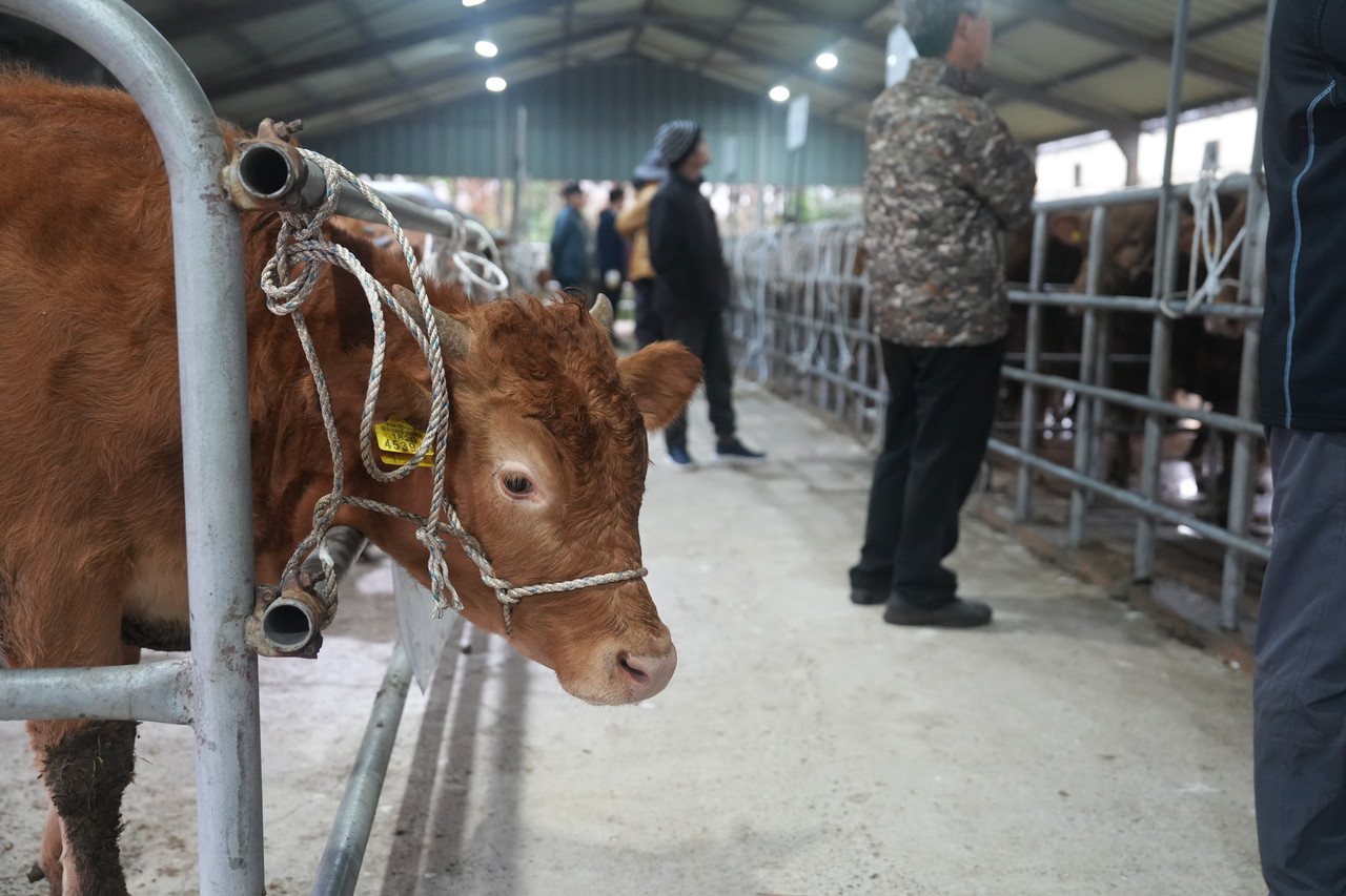 사진=오성희 기자