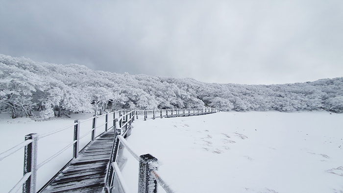 눈 덮인 사라 호수 모습. 한라산국립공원 제공.