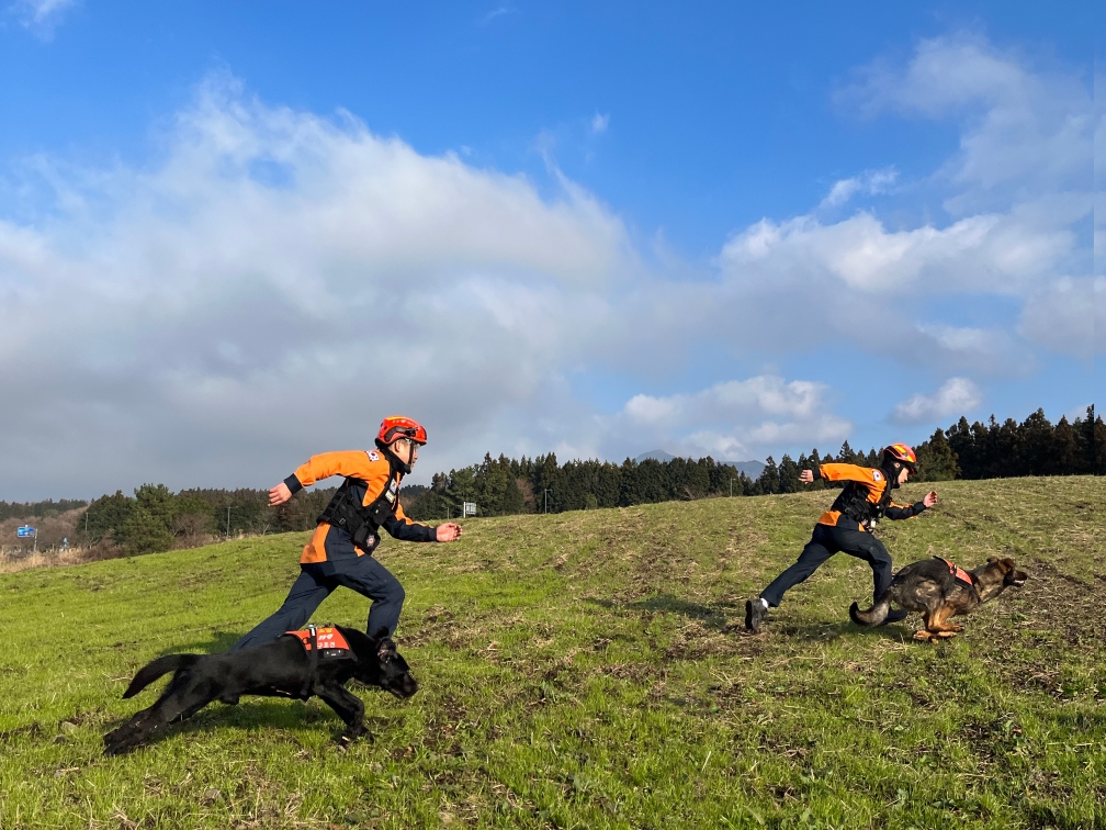 119구조견 모습.