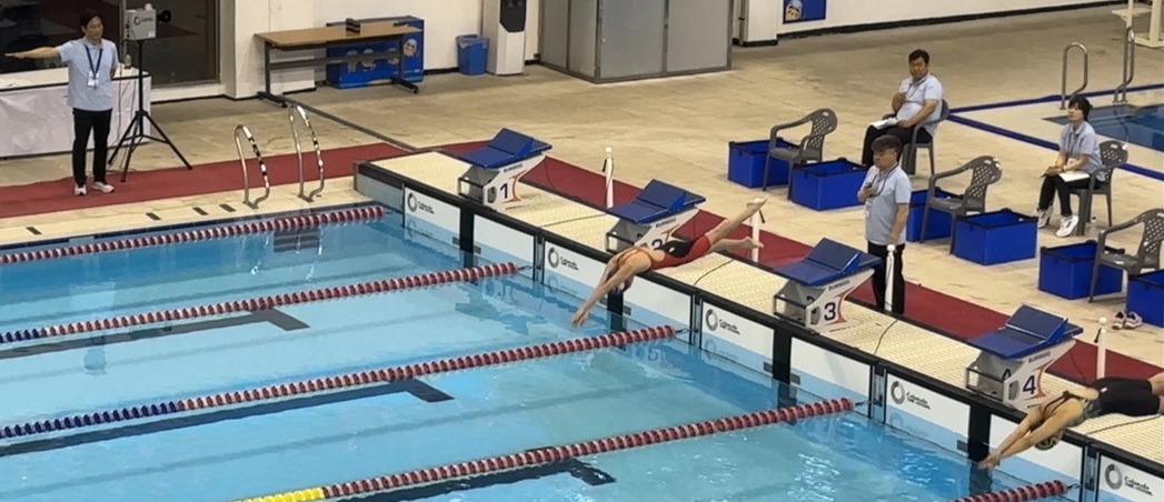 제58회 제주도민체전에서 수영 여자 12세 이하부 전문선수부 평영 100m에서 박민서 선수(새서귀초6ㆍ사진 가운데)가 출발대에서 입수하고 있다.