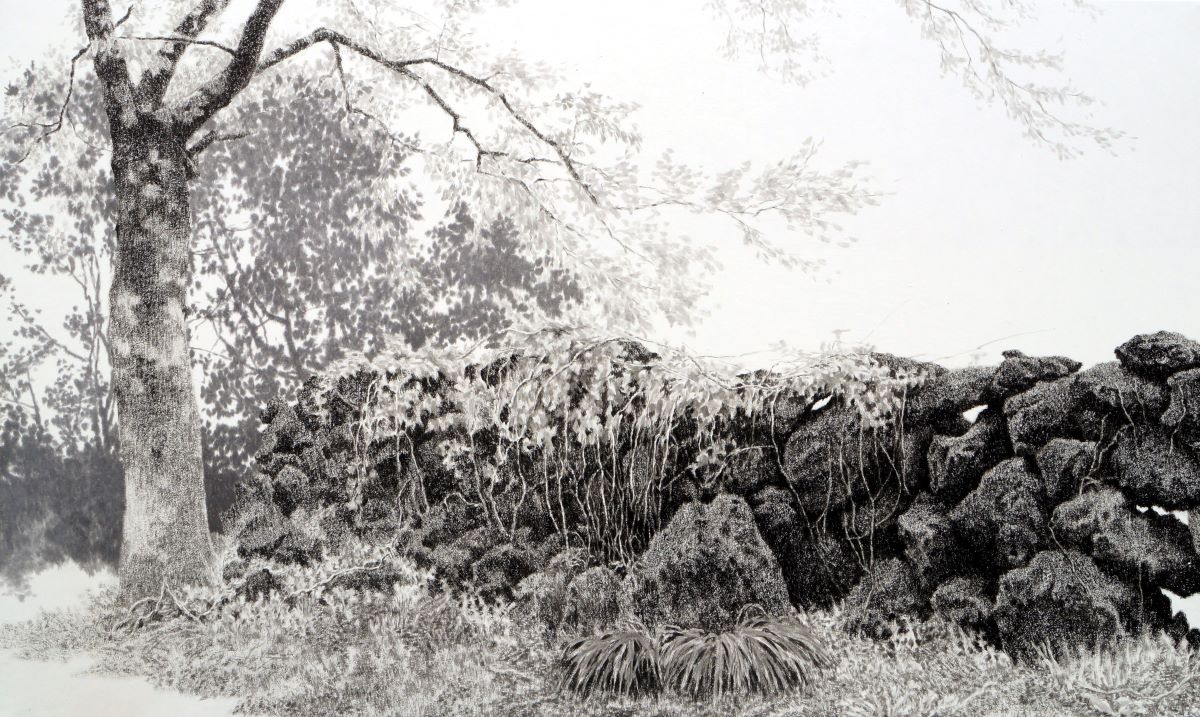 이창희 作, 와흘리 돌담