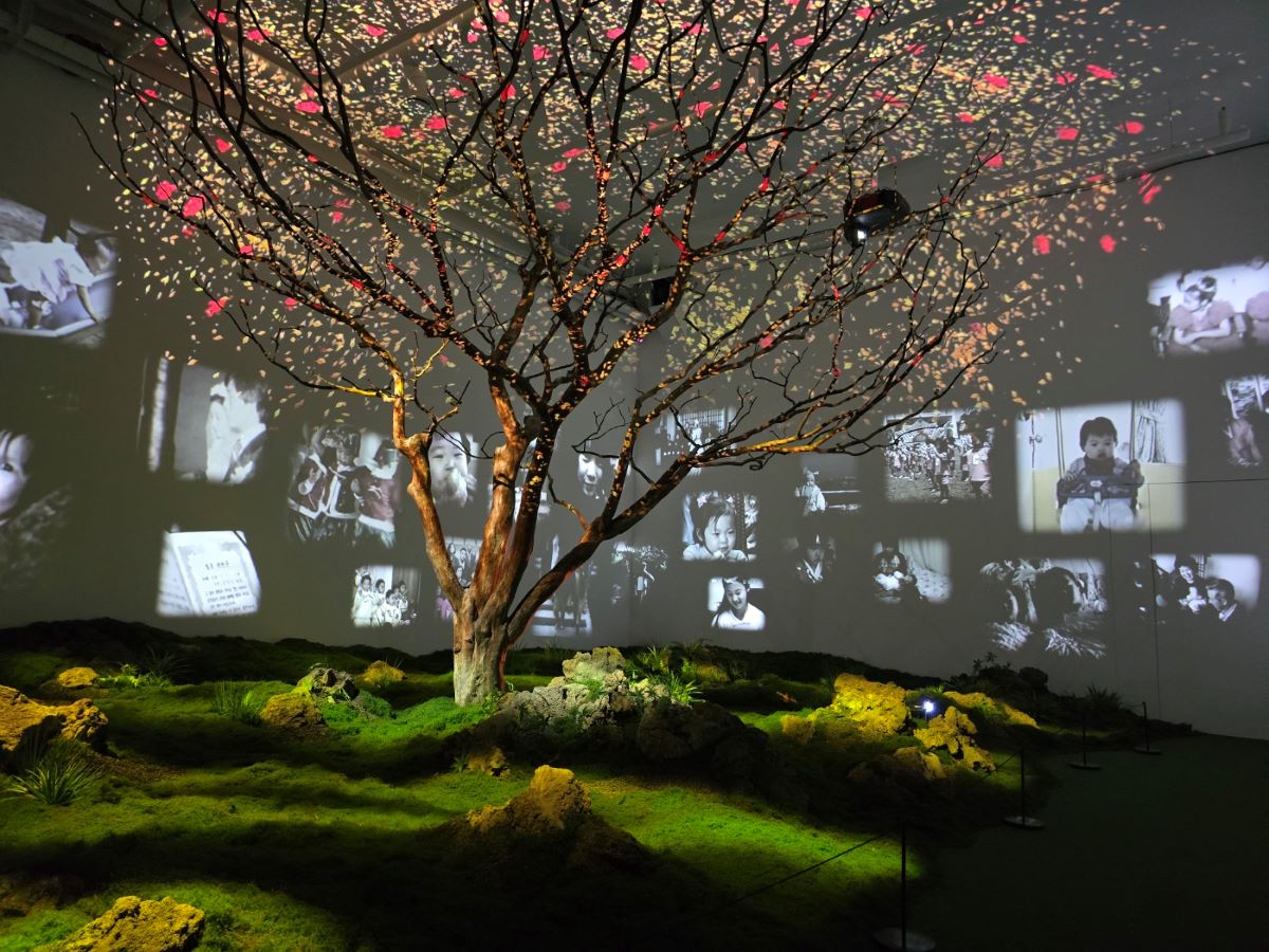 테마공간 'Forget Me Not', 2024. 100년을 살다가 생을 마감한 배롱나무가 포도뮤지엄과 수무의 공동작업으로 전시장 안에서 다시 태어났다.