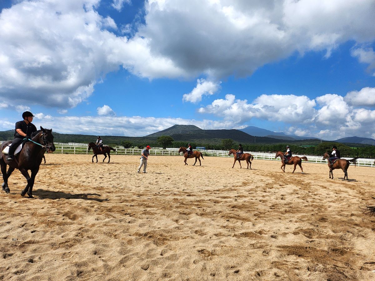 한국마사회 제주목장 경주마술교육