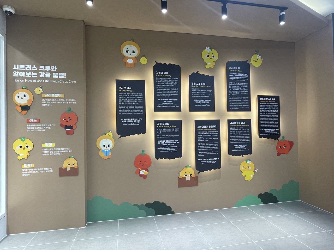 미래관-제주감귤 꿀팁