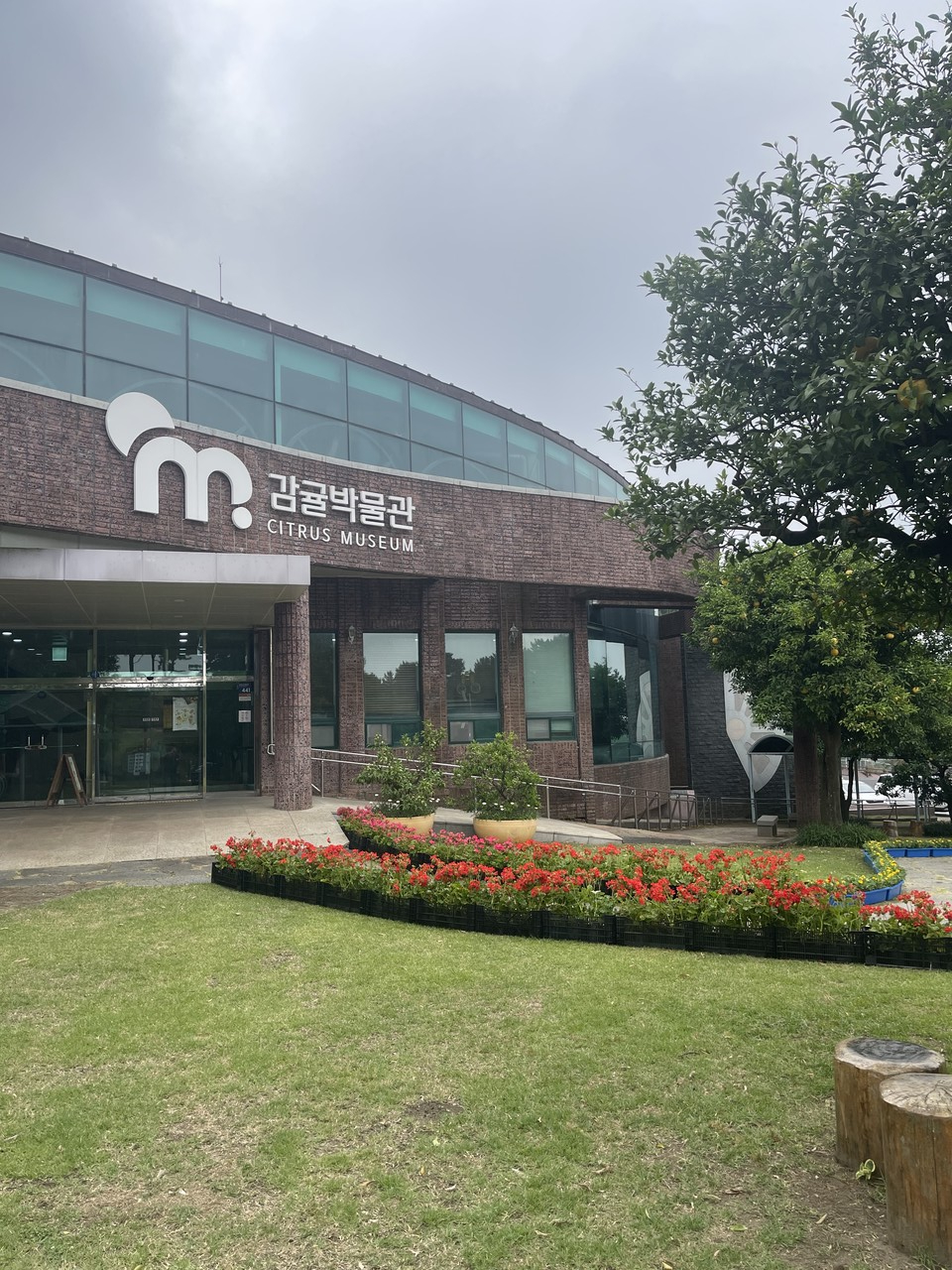 리모델링된 감귤박물관 입구 전경