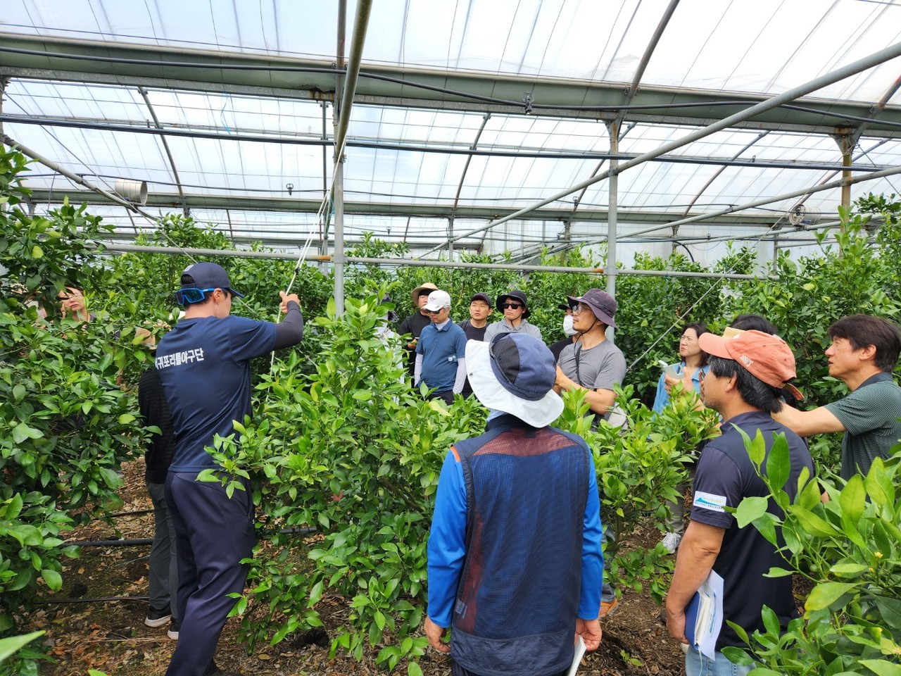 서귀포시 귀농귀촌 교육 수강생이 프로야구선수 출신 귀농인 오장훈 농가에서 선배 귀농인의 정착기와 영농법 등을 듣고 있다.