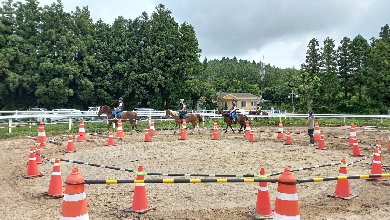 학생승마체험 현장 사진