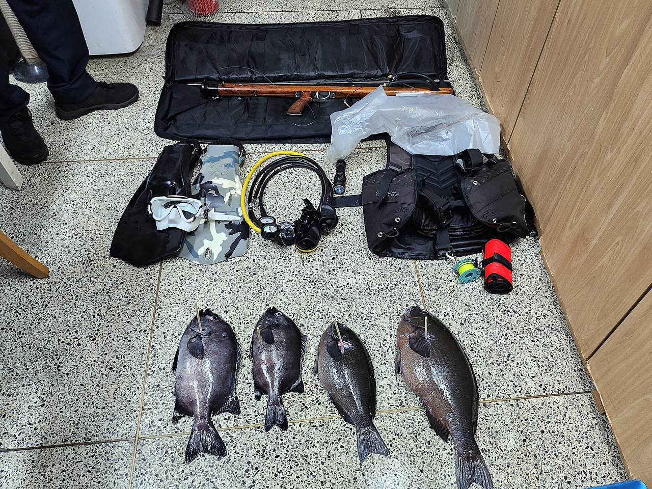 서귀포해양경찰서(서장 고성림)는 지난 3월부터 특별단속을 벌인 결과 서귀포 연안 일대에서 작살, 스쿠버 장비 등 불법도구를 사용해 수산자원을 불법 포획한 비어업인 3건 5명 및 마을어장 내 수산자원을 불법 포획한 3건 7명 등 총 6건 12명을 적발했다고 12일 밝혔다.