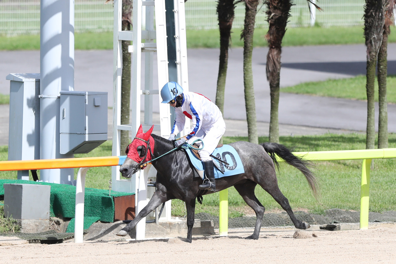 한영민 기수가 지난달 30일 렛츠런파크 제주에서 열린 제3경주(900m)에 출전해 제주마 ‘은나래’(3세‧암)와 호흡을 맞춰 1위를 기록하며 개인 통상 800승 대기록을 달성했다.