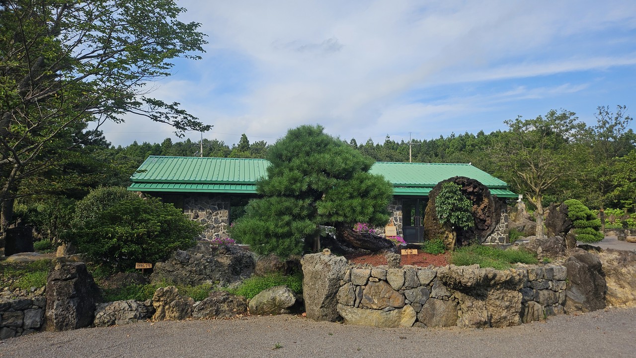 카페 돌낭보니또