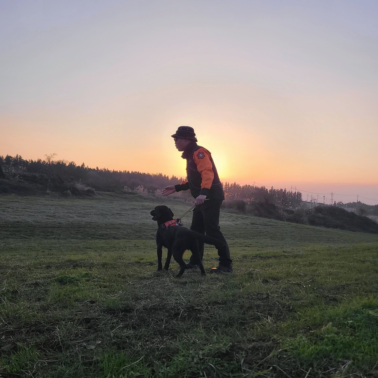 구조활동 하던 초롱이의 모습.