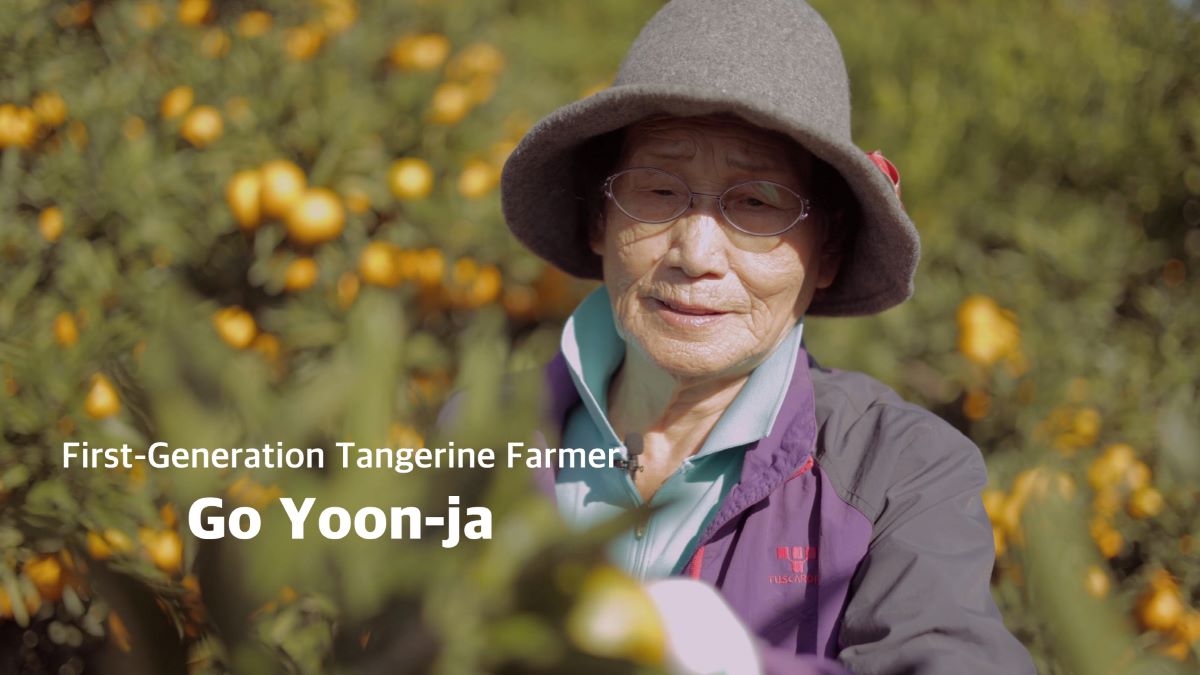 감귤영농 1세대  고윤자 (제공 =서귀포시문화도시센터)
