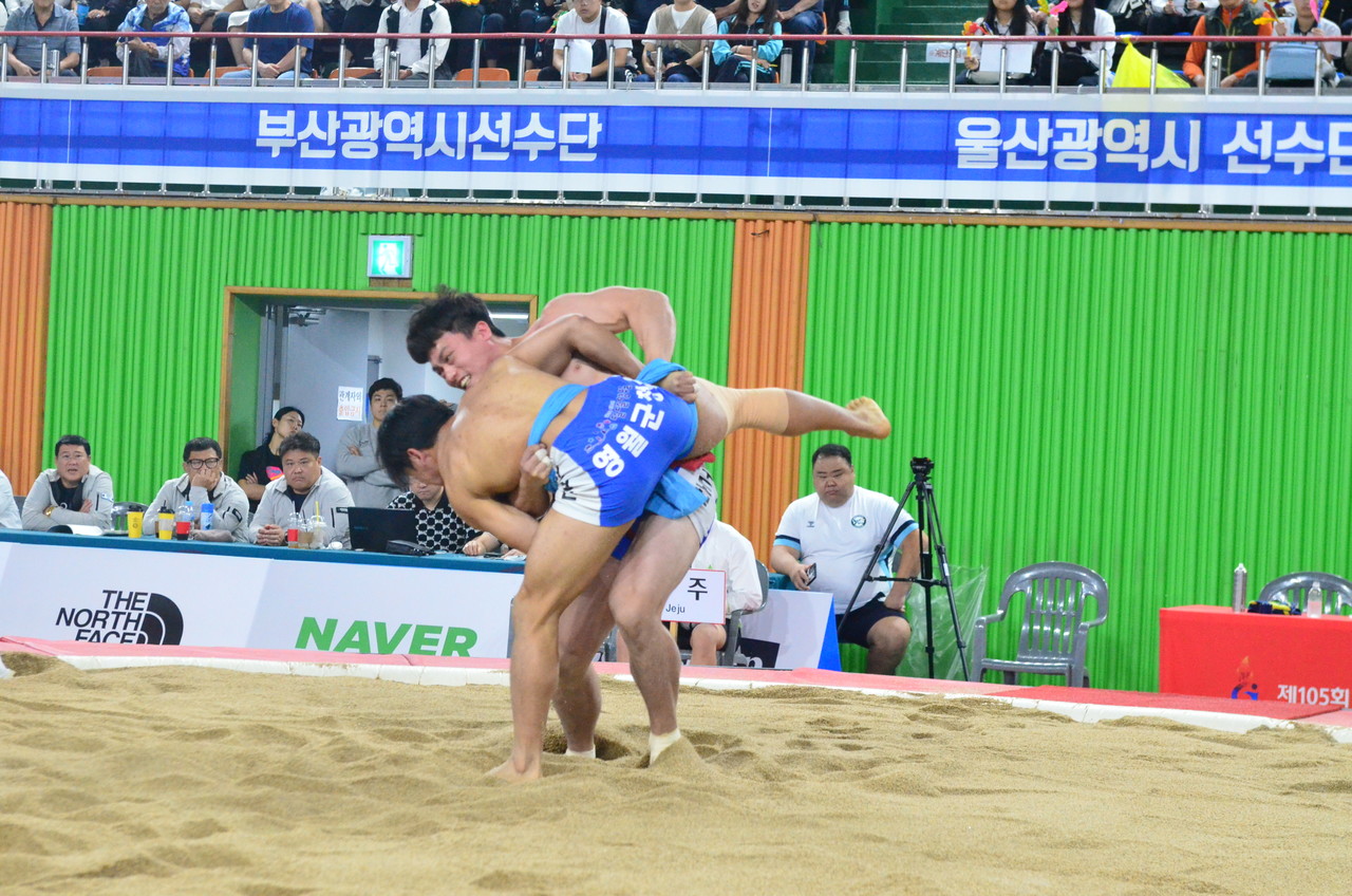 사진 설명 - 16일 경남 김해에서 열리는 제105회 전국체육대회 씨름 남자일반부 경장급 75㎏ 경기 결승전에서 황찬섭(제주특별자치도청) 선수가 금메달을 땄다.