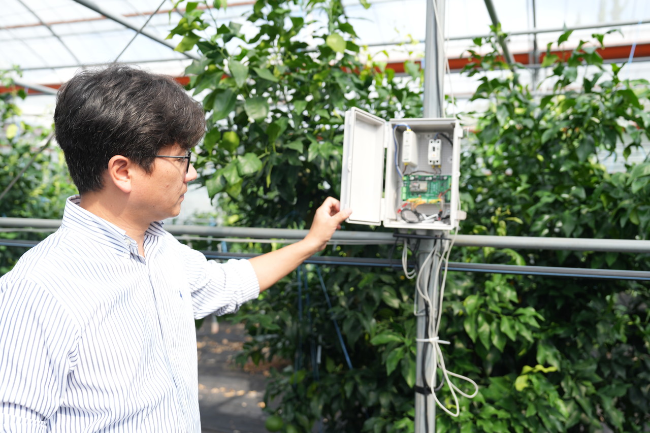 지난 16일 설향을 연구하는 시설하우스에서 제주특별자치도농업기술원 과수연구과 감귤연구팀 양철준 지방농업연구사가 신품종 육종 과정에 대해 설명하고 있다.