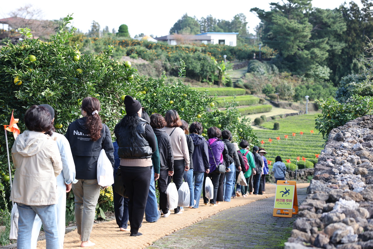 2024 제주국제감귤박람회가 지난 13일부터 7일간 서귀포농업기술센터 일원에서 열렸다.