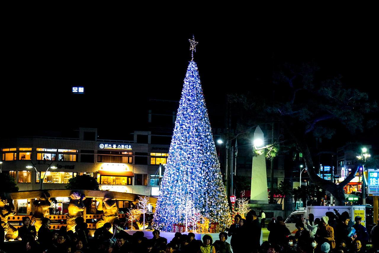 2024년 성탄트리 점등식 모습.