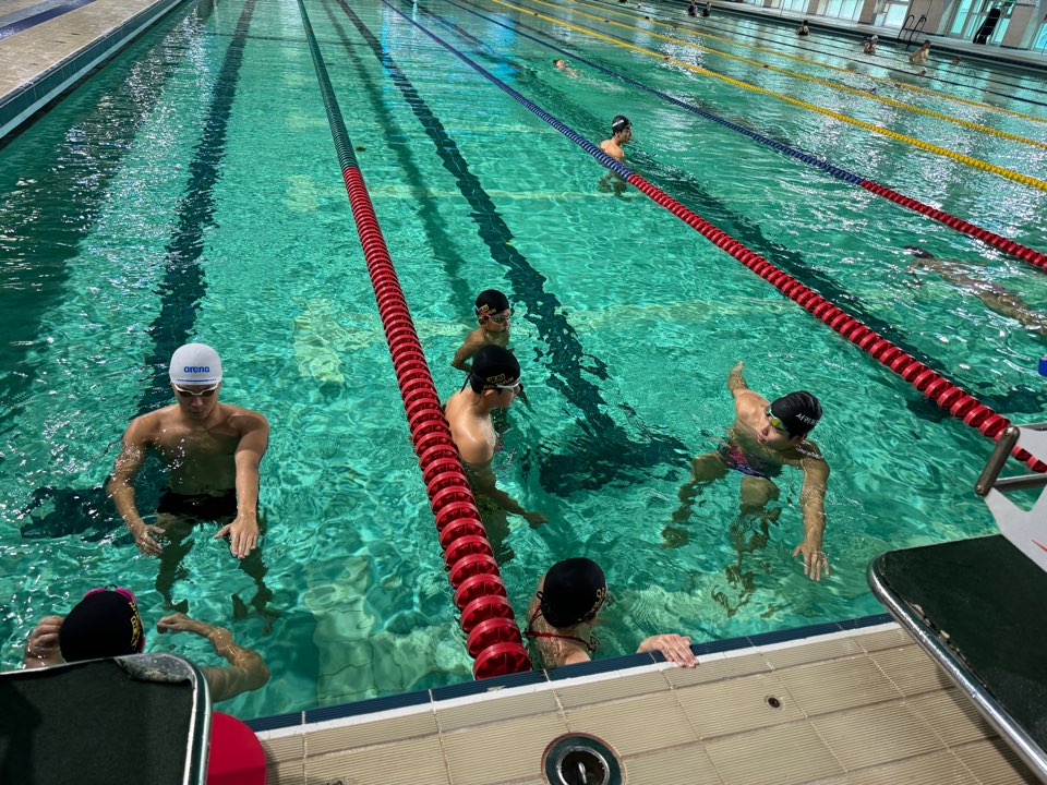 기사 내용과 관련 없음. 서귀포시청 수영부 재능기부 모습(사진=서귀포시체육회).