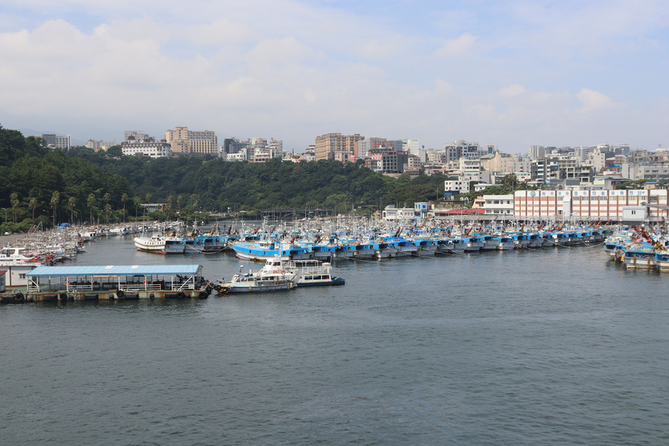 서귀포항에 정박중인 어선 모습. 자료사진.