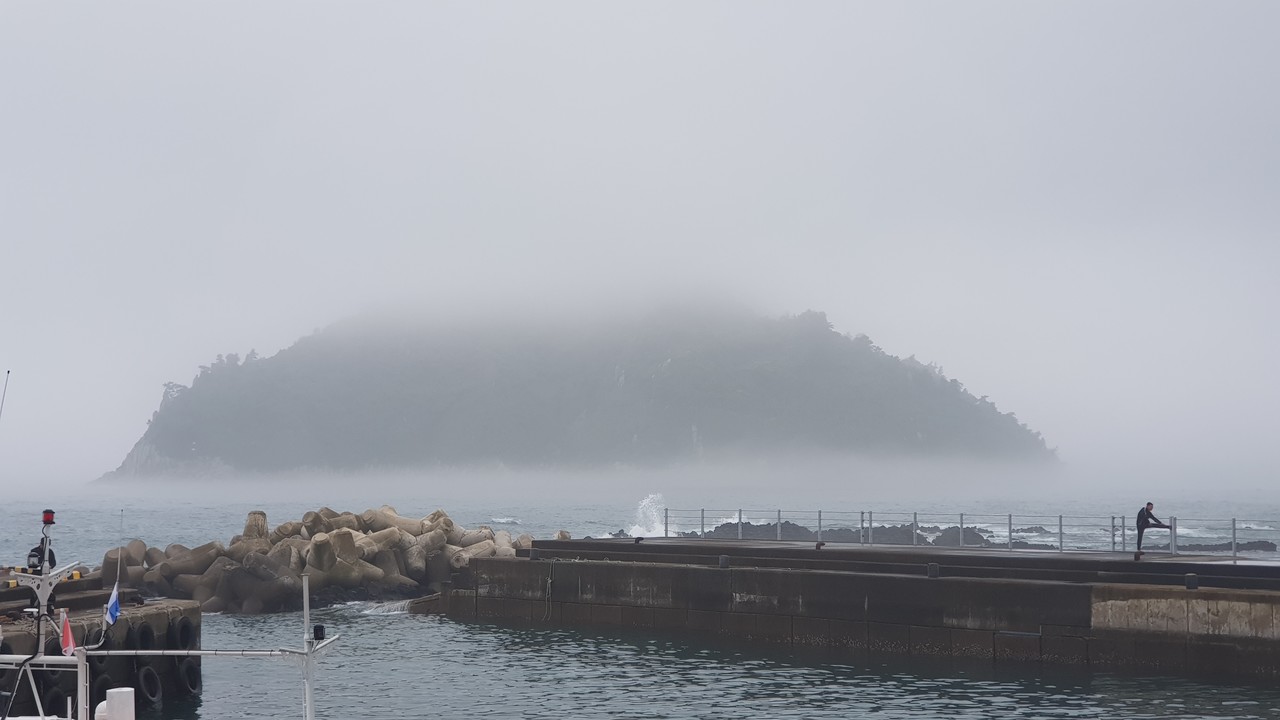 보목포구에서 본 섶섬 안개 모습(자료사진).