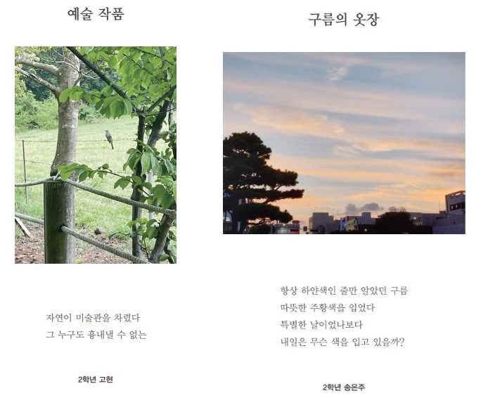 2023년 효돈중학교 학생들의 디카시 작품.