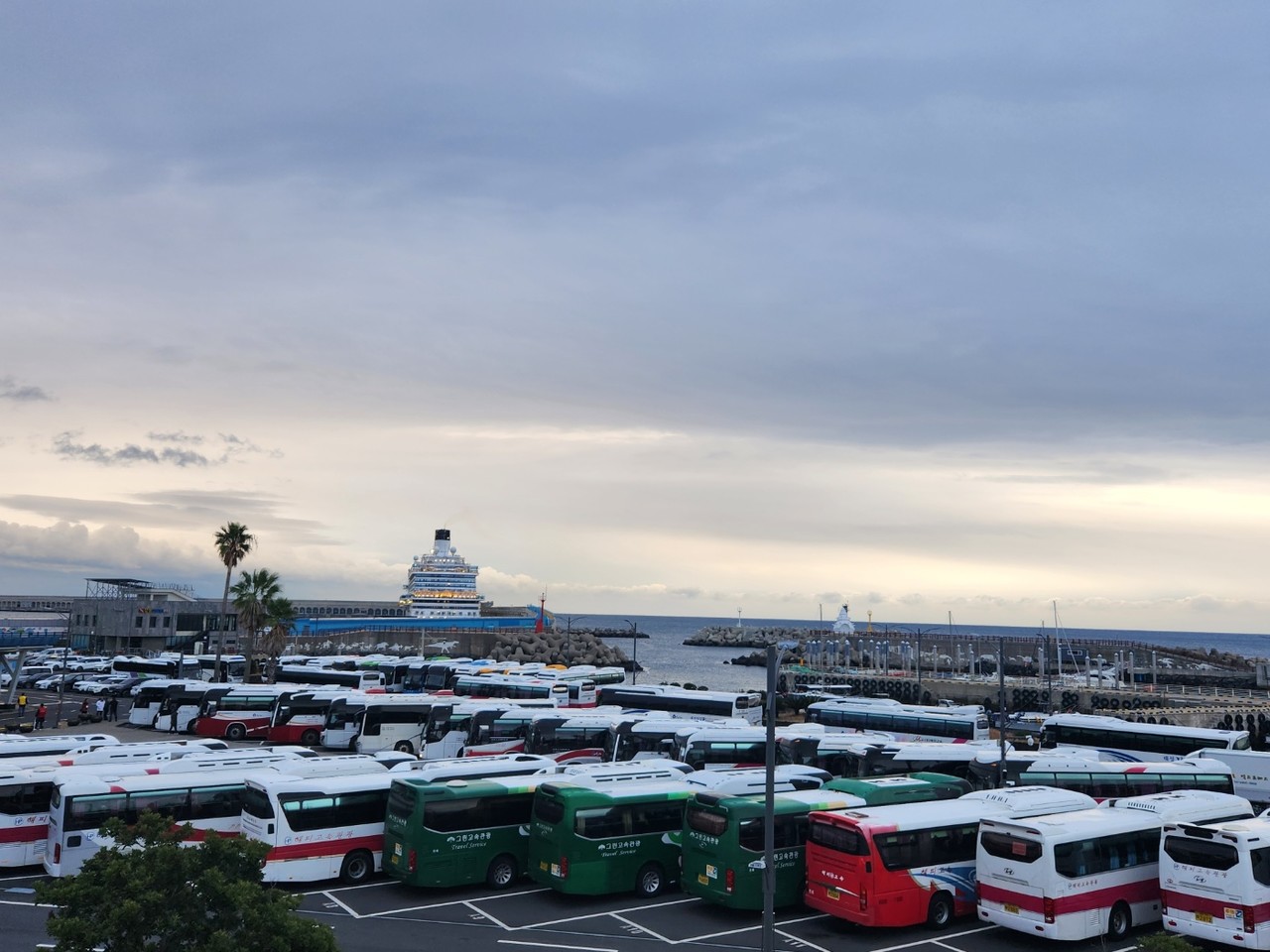 강정크루즈터미널에서 크루즈 관광객을 수송하기 위해 대기하는 관광버스 모습. 자료사진